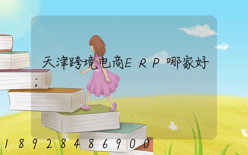 天津跨境电商ERP哪家好