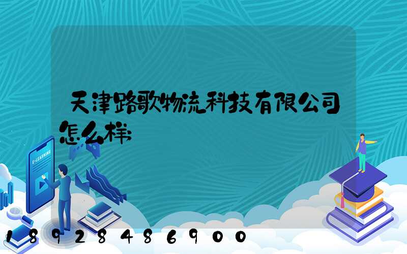 天津路歌物流科技有限公司怎么样
