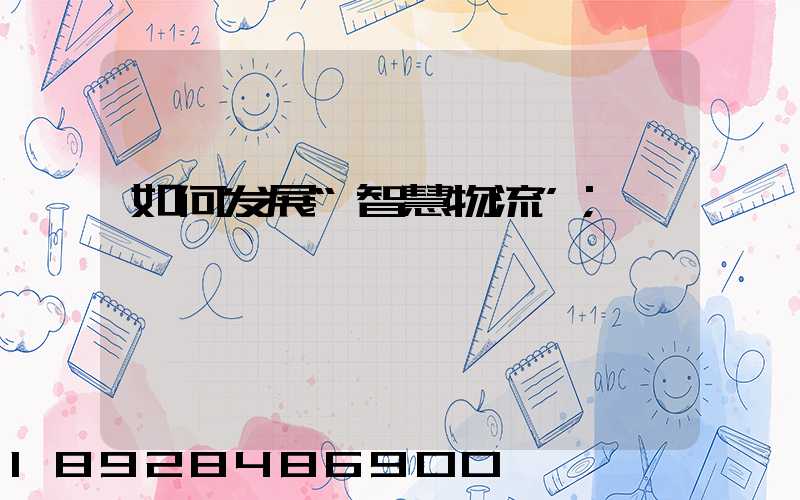 如何发展“智慧物流”