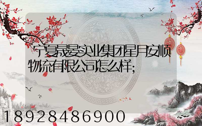 宁夏晟晏实业集团星月安顺物流有限公司怎么样