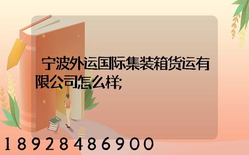 宁波外运国际集装箱货运有限公司怎么样