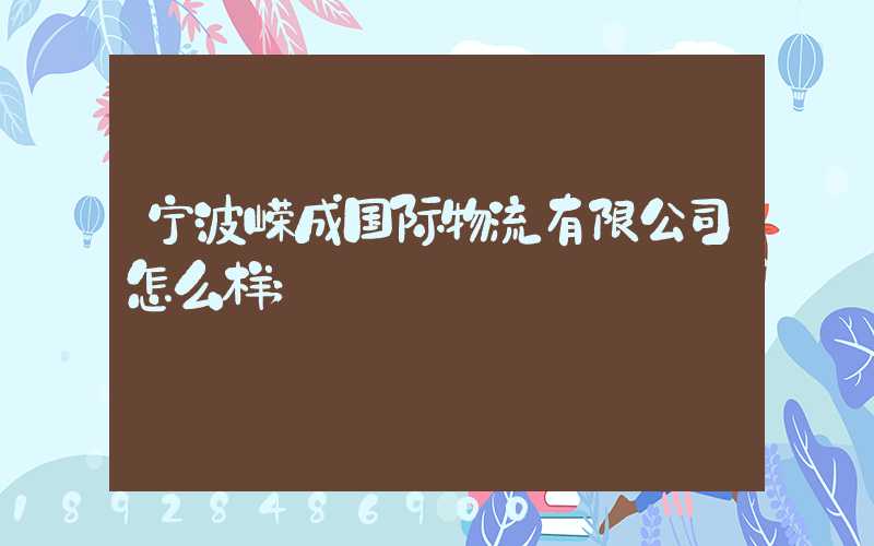 宁波嵘成国际物流有限公司怎么样