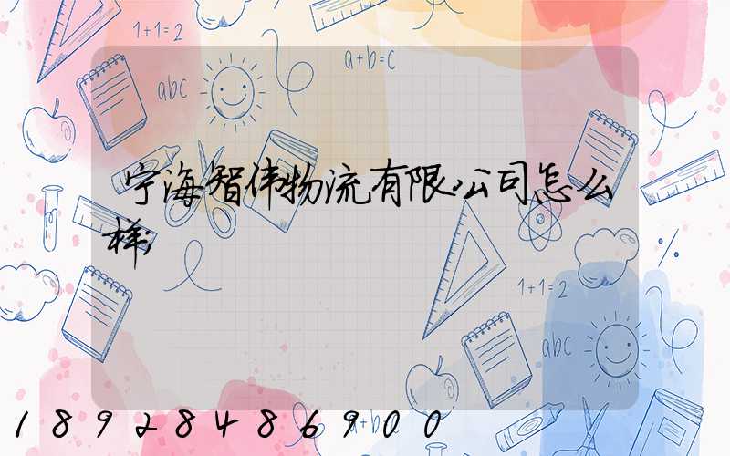 宁海智伟物流有限公司怎么样