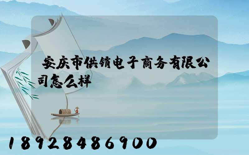 安庆市供销电子商务有限公司怎么样