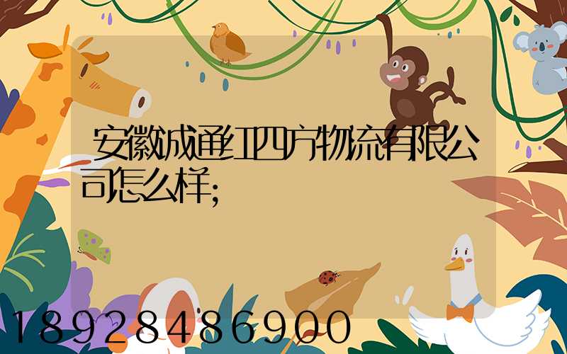 安徽诚通红四方物流有限公司怎么样
