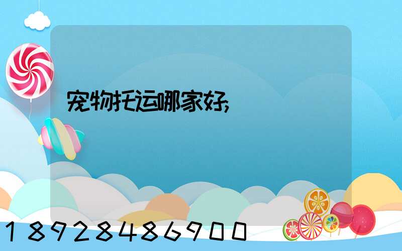 宠物托运哪家好