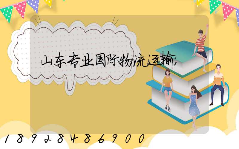 山东专业国际物流运输