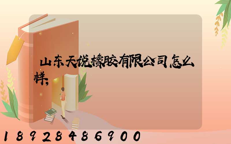 山东天说橡胶有限公司怎么样