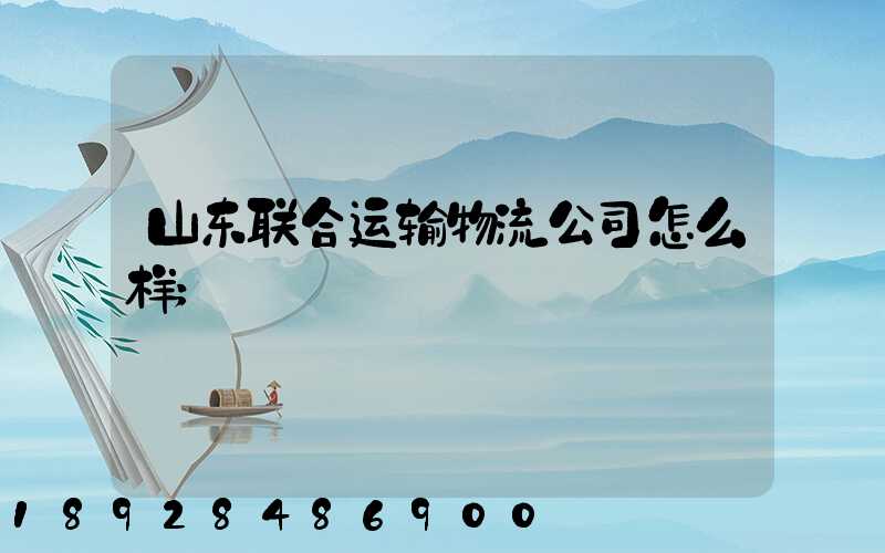 山东联合运输物流公司怎么样