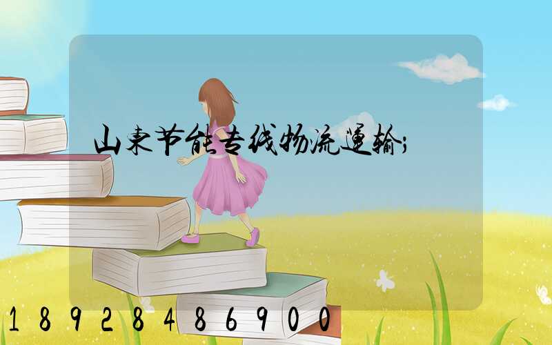 山东节能专线物流运输
