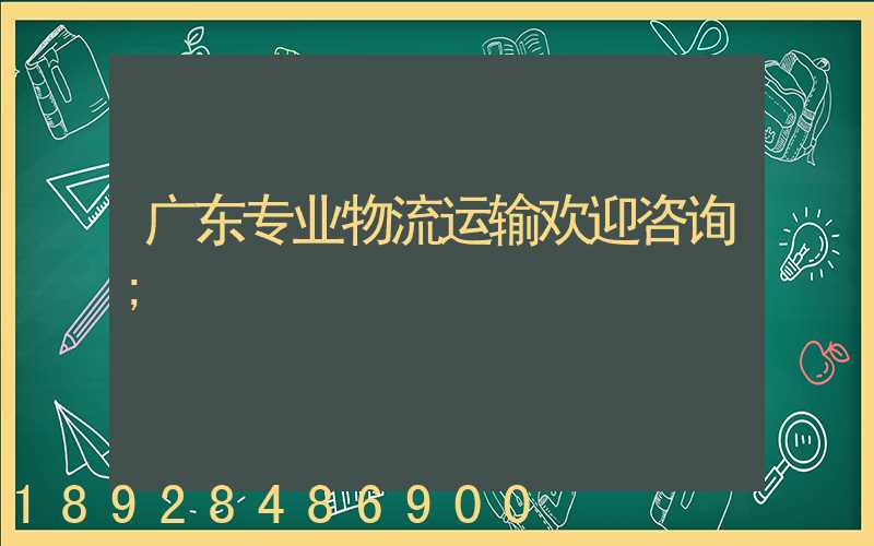 广东专业物流运输欢迎咨询