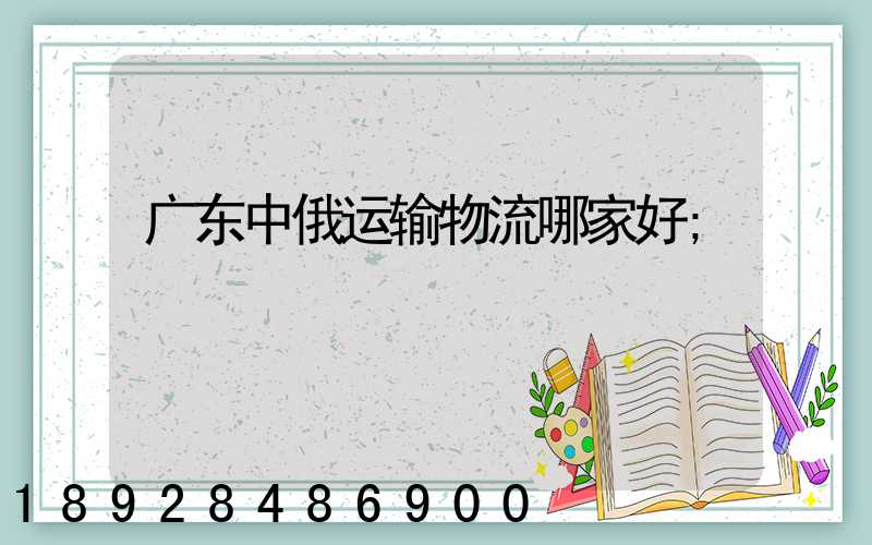 广东中俄运输物流哪家好
