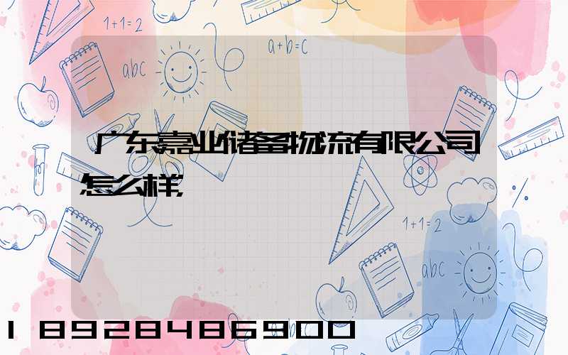 广东嘉业储备物流有限公司怎么样