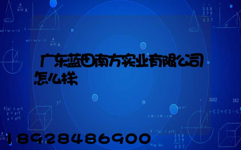 广东蓝田南方实业有限公司怎么样