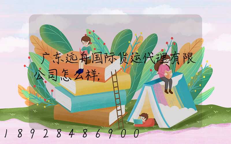 广东远舟国际货运代理有限公司怎么样