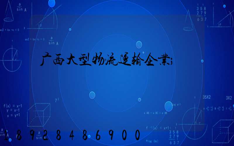 广西大型物流运输企业