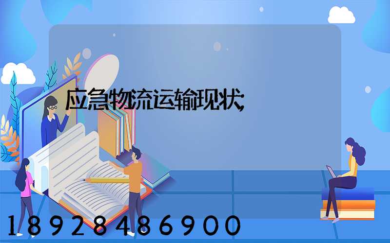 应急物流运输现状