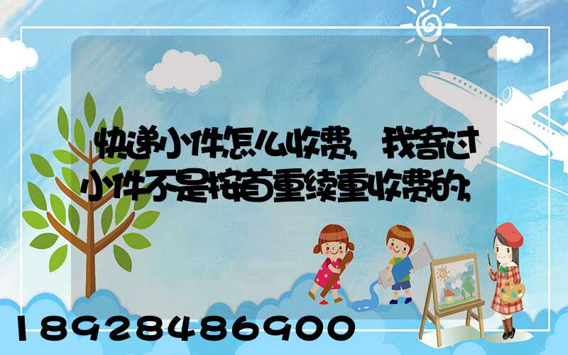 快递小件怎么收费,我寄过小件不是按首重续重收费的