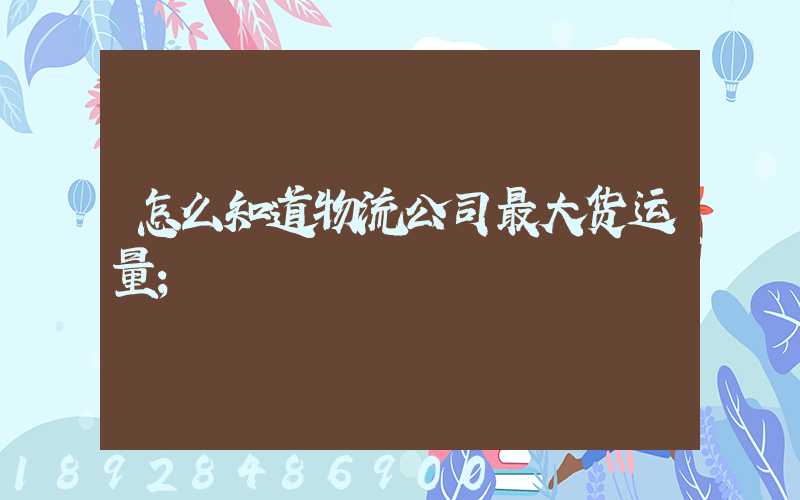 怎么知道物流公司最大货运量