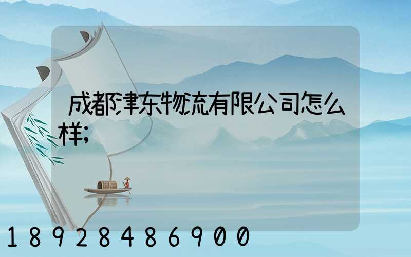 成都津东物流有限公司怎么样