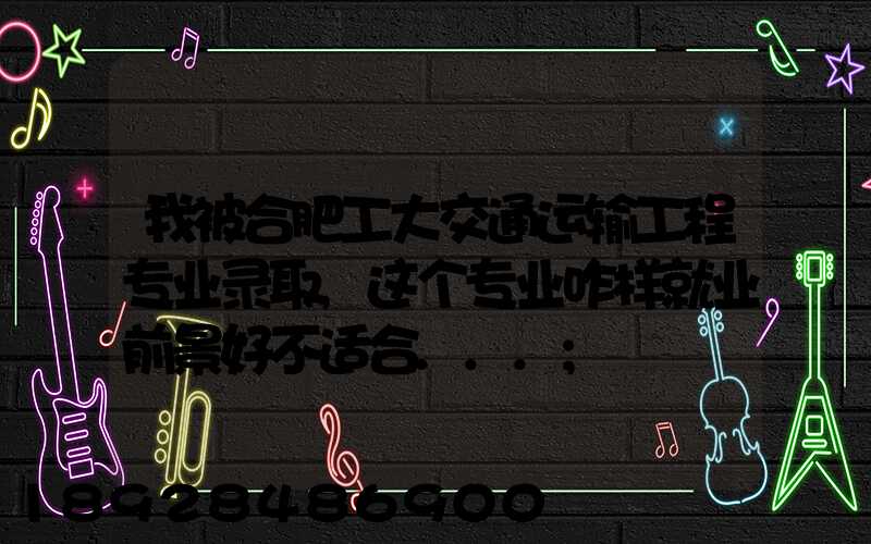 我被合肥工大交通运输工程专业录取,这个专业咋样就业前景好不适合...