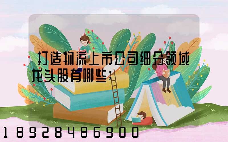 打造物流上市公司细分领域龙头股有哪些
