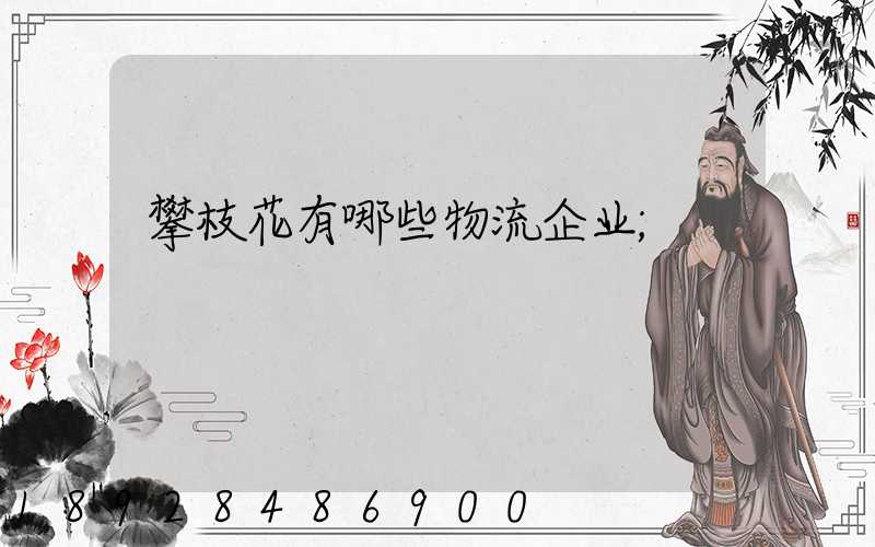 攀枝花有哪些物流企业