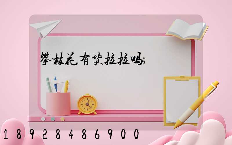 攀枝花有货拉拉吗