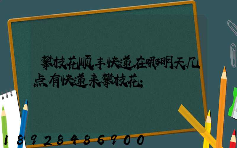 攀枝花顺丰快递在哪明天几点有快递来攀枝花