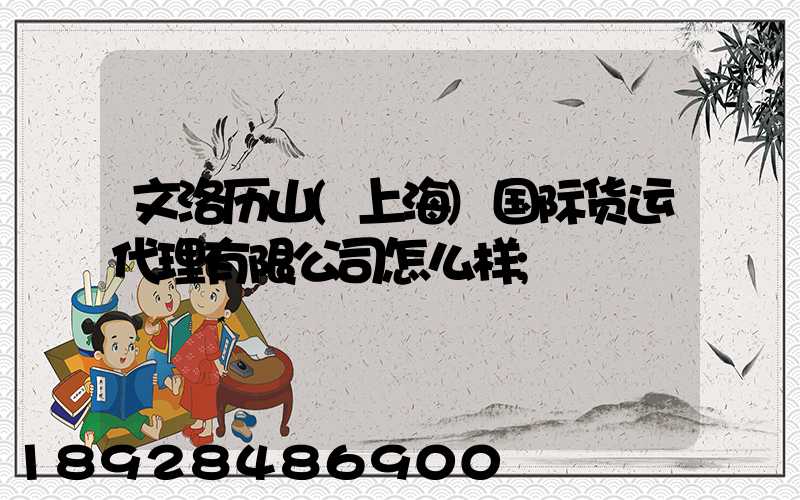 文洛历山(上海)国际货运代理有限公司怎么样