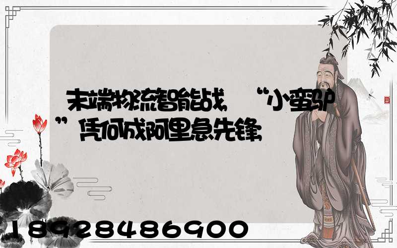 末端物流智能战,“小蛮驴”凭何成阿里急先锋