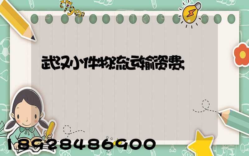 武汉小件物流运输资费