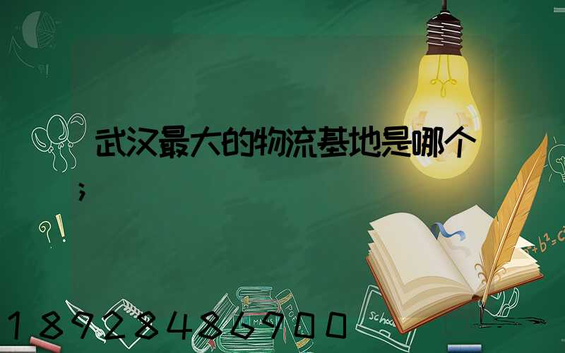 武汉最大的物流基地是哪个