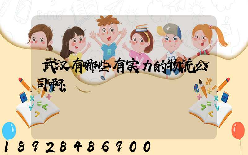 武汉有哪些有实力的物流公司啊