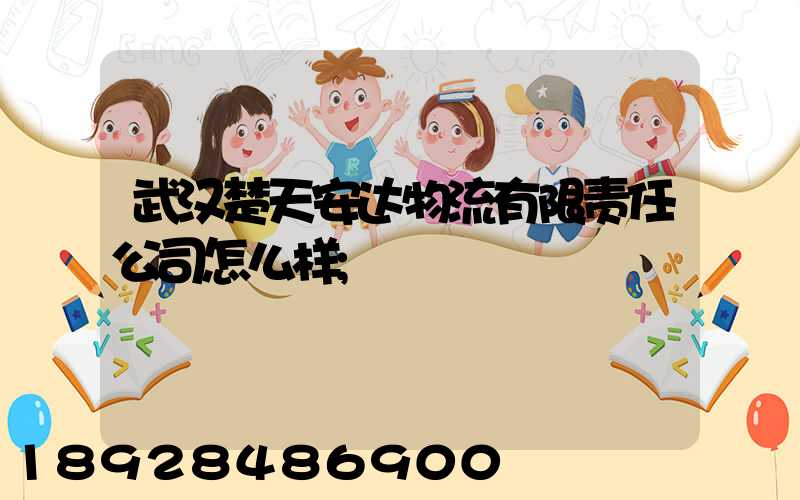 武汉楚天安达物流有限责任公司怎么样