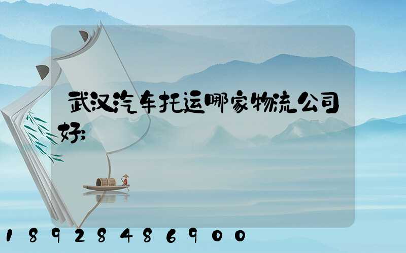 武汉汽车托运哪家物流公司好