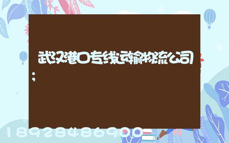 武汉港口专线运输物流公司