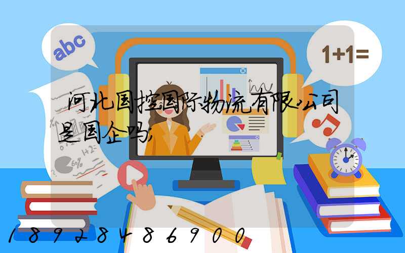 河北国控国际物流有限公司是国企吗