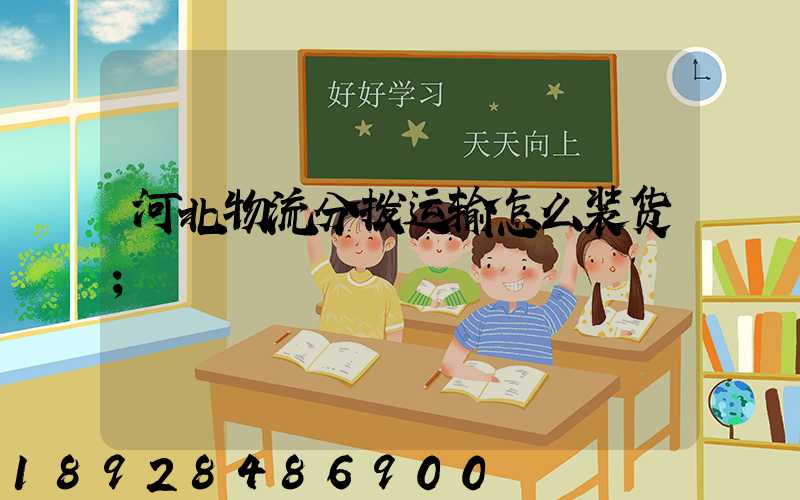 河北物流分拨运输怎么装货