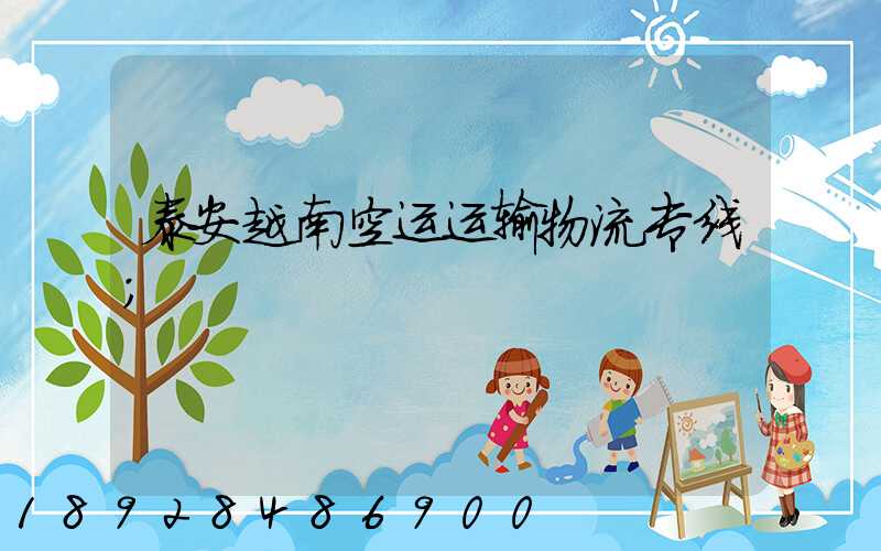 泰安越南空运运输物流专线