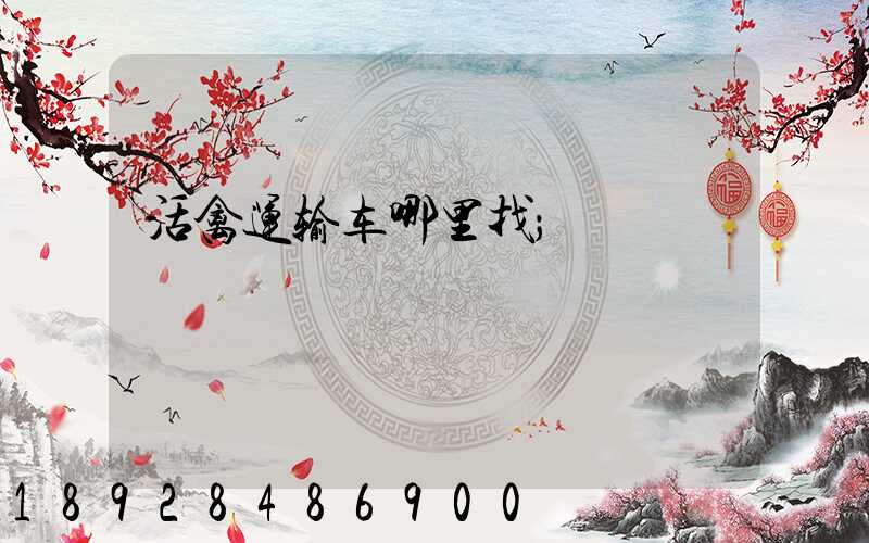 活禽运输车哪里找