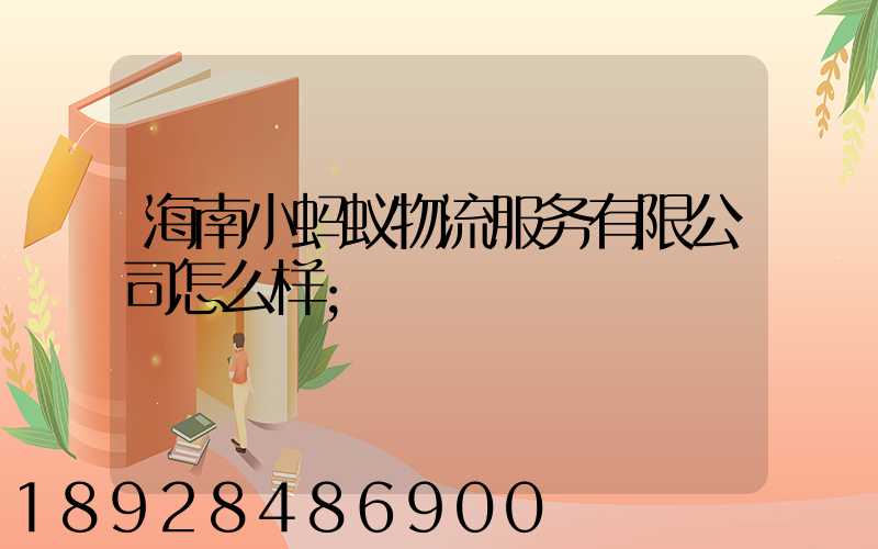 海南小蚂蚁物流服务有限公司怎么样