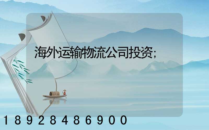 海外运输物流公司投资