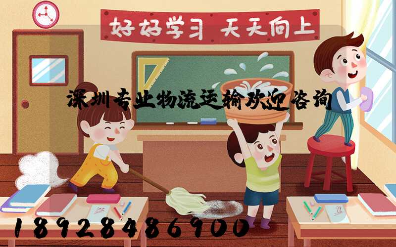 深圳专业物流运输欢迎咨询