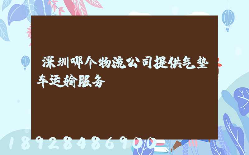 深圳哪个物流公司提供气垫车运输服务