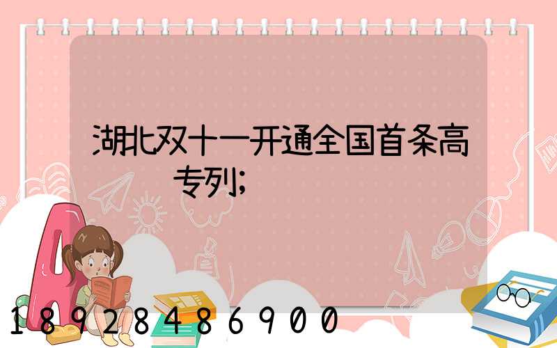 湖北双十一开通全国首条高铁货运专列