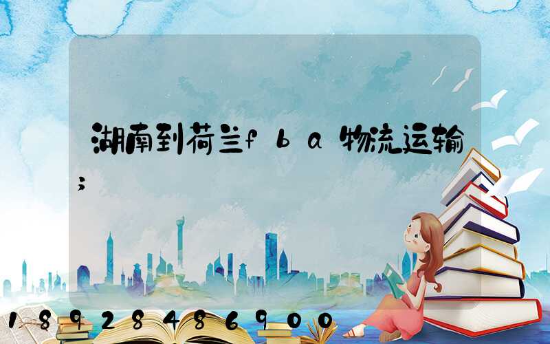 湖南到荷兰fba物流运输