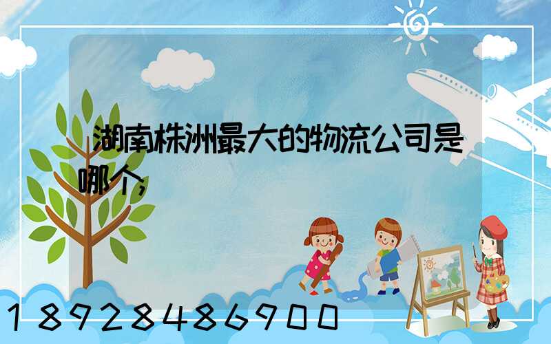 湖南株洲最大的物流公司是哪个