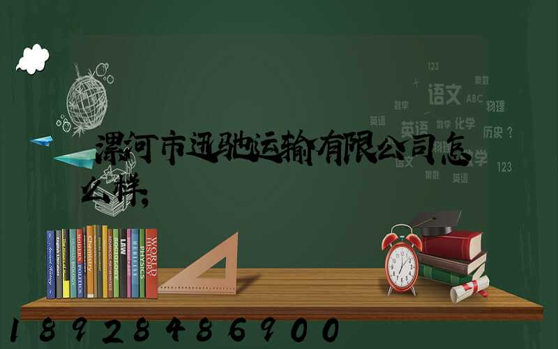 漯河市迅驰运输有限公司怎么样