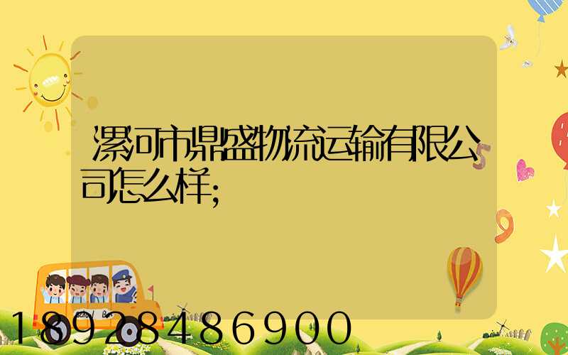 漯河市鼎盛物流运输有限公司怎么样
